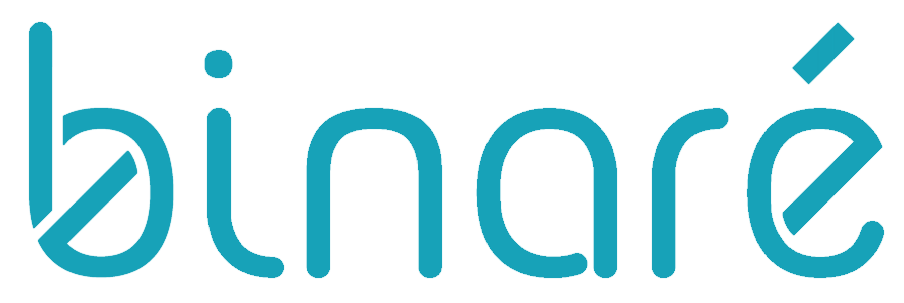 Binare consortium partner logo